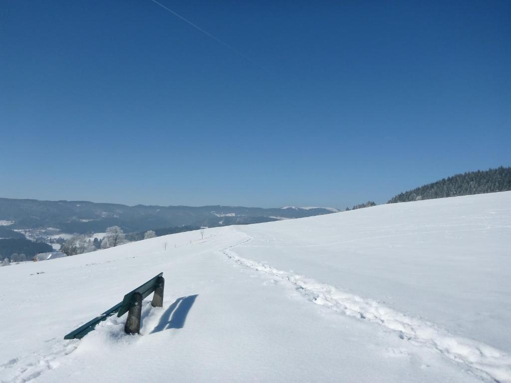 Gaestehaus Hundelbach Lenzkirch Esterno foto