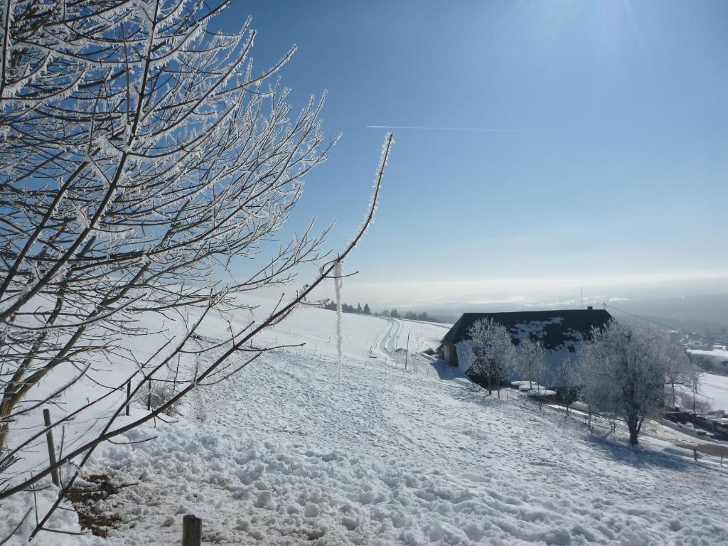 Gaestehaus Hundelbach Lenzkirch Esterno foto