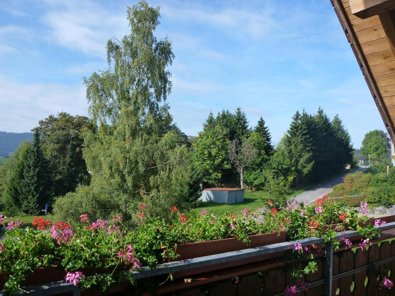 Gaestehaus Hundelbach Lenzkirch Esterno foto