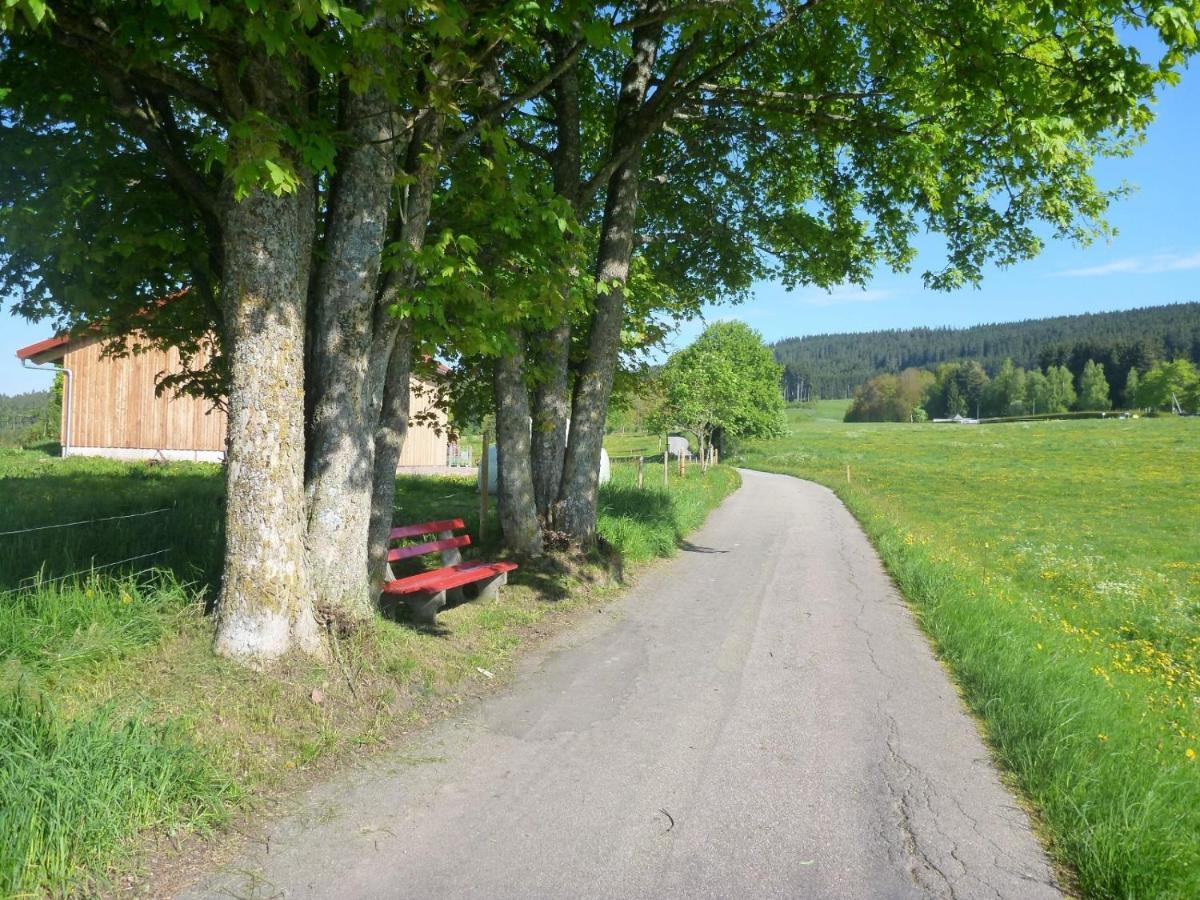 Gaestehaus Hundelbach Lenzkirch Esterno foto